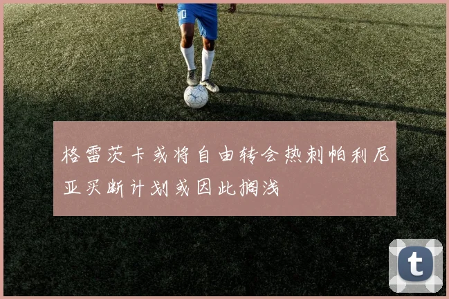 格雷茨卡或将自由转会热刺帕利尼亚买断计划或因此搁浅