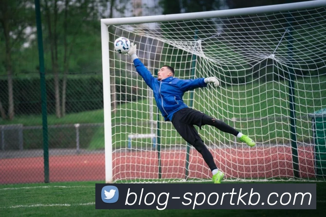 KB体育平台生态图