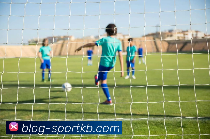 KB体育APP 封面图